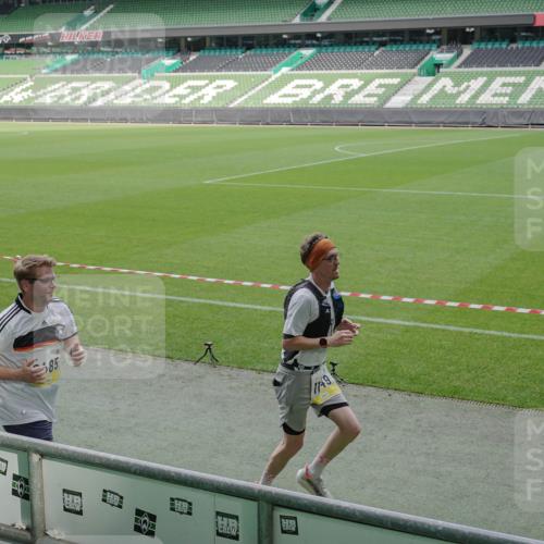 05.10.2025 - 20. swb-Marathon Bremen Michael Burmester http://msf.ph/oto/9230685 05.10.2025 10:29:43 Laufen im Stadion 7202, 8787, 8866, 9014, 9199, 9218, 9233, 9261, 9369, 9385, 9428, 9437, 9452, 9485, 9555, 9556, 9578, 9579, 9583, 9626, 9627, 9630, 9641, 9658, 9674, 9689, 9693, 9696, 9704, 9729, 9740, 9761, 9803, 9832, 9889, 9924, 9929, 9958, 9969, 9986, 10073, 10089, 10118, 10170, 10246, 10376, 10400, 10432, 10534, 10601, 10673, 10685, 10715, 10723, 10726, 10733, 10781, 10868, 10877, 10923, 10929, 10932, 10951, 10968, 11005, 11022, 11091, 11119, 11187, 11208, 11288, 11298 meine-sportfotos.de