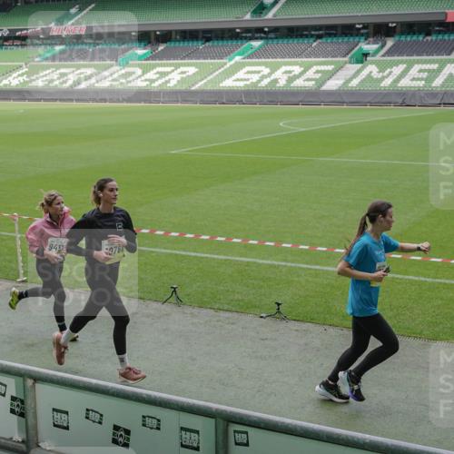 05.10.2025 - 20. swb-Marathon Bremen Michael Burmester http://msf.ph/oto/9230985 05.10.2025 10:29:55 Laufen im Stadion 7202, 8787, 8866, 9014, 9199, 9233, 9255, 9259, 9261, 9369, 9385, 9428, 9435, 9437, 9452, 9485, 9555, 9578, 9579, 9583, 9630, 9658, 9674, 9689, 9696, 9704, 9729, 9740, 9761, 9803, 9832, 9889, 9924, 9929, 9958, 9975, 10022, 10073, 10118, 10159, 10170, 10246, 10376, 10400, 10432, 10443, 10534, 10548, 10601, 10673, 10685, 10715, 10726, 10733, 10781, 10868, 10873, 10877, 10923, 10932, 10951, 10968, 11005, 11022, 11091, 11177, 11187, 11208, 11288, 11298, 9556 meine-sportfotos.de