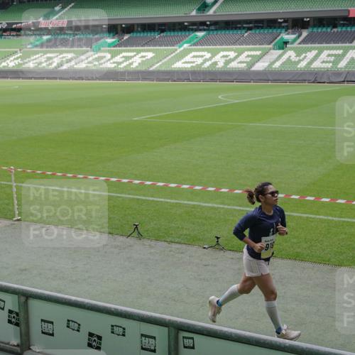 05.10.2025 - 20. swb-Marathon Bremen Michael Burmester http://msf.ph/oto/9231088 05.10.2025 10:29:59 Laufen im Stadion 7202, 8787, 8866, 9014, 9199, 9233, 9240, 9255, 9259, 9261, 9369, 9385, 9435, 9437, 9452, 9485, 9555, 9578, 9579, 9583, 9630, 9658, 9674, 9689, 9696, 9704, 9740, 9761, 9803, 9832, 9889, 9924, 9929, 9958, 9975, 10022, 10073, 10118, 10159, 10170, 10221, 10246, 10376, 10392, 10400, 10432, 10443, 10534, 10548, 10601, 10673, 10685, 10715, 10726, 10781, 10868, 10873, 10877, 10923, 10932, 10951, 10968, 11005, 11022, 11091, 11177, 11208, 11288, 11298, 11319, 9556 meine-sportfotos.de