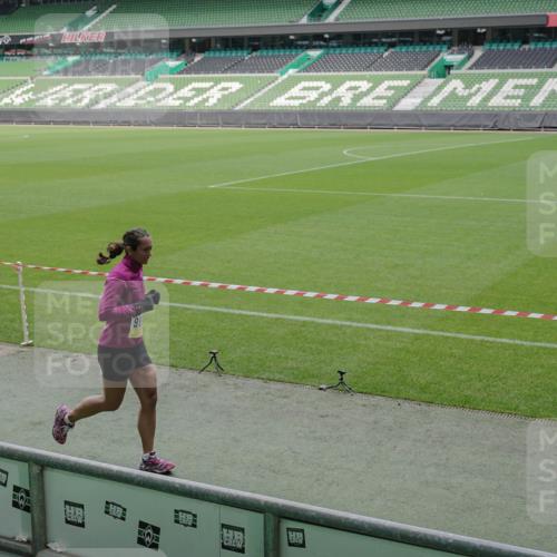 05.10.2025 - 20. swb-Marathon Bremen Michael Burmester http://msf.ph/oto/9231138 05.10.2025 10:30:02 Laufen im Stadion 7202, 8787, 8866, 9014, 9199, 9233, 9240, 9255, 9259, 9261, 9369, 9385, 9435, 9437, 9452, 9485, 9578, 9579, 9583, 9630, 9658, 9674, 9689, 9704, 9740, 9761, 9803, 9832, 9889, 9924, 9929, 9958, 9975, 10022, 10073, 10118, 10159, 10170, 10221, 10246, 10376, 10392, 10400, 10432, 10443, 10507, 10534, 10548, 10601, 10673, 10685, 10715, 10726, 10781, 10868, 10873, 10877, 10923, 10932, 10951, 10968, 11022, 11091, 11177, 11208, 11288, 11298, 11319, 9556 meine-sportfotos.de