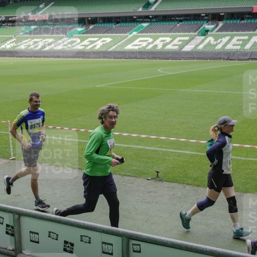 05.10.2025 - 20. swb-Marathon Bremen Michael Burmester http://msf.ph/oto/9231197 05.10.2025 10:30:06 Laufen im Stadion 7202, 7733, 8787, 8866, 9014, 9199, 9209, 9233, 9240, 9255, 9259, 9261, 9369, 9385, 9435, 9437, 9452, 9485, 9578, 9579, 9583, 9630, 9658, 9663, 9674, 9689, 9704, 9740, 9761, 9803, 9832, 9889, 9906, 9975, 10022, 10118, 10159, 10170, 10221, 10241, 10246, 10376, 10392, 10400, 10432, 10443, 10507, 10534, 10548, 10584, 10673, 10685, 10726, 10781, 10868, 10873, 10877, 10923, 10932, 10951, 10968, 11022, 11091, 11177, 11208, 11288, 11298, 11319, 8787, 9556 meine-sportfotos.de