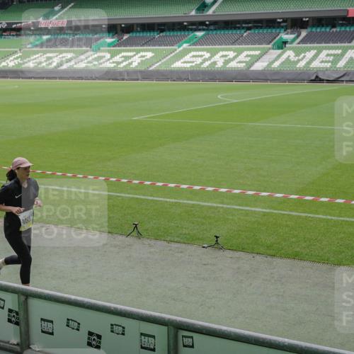 05.10.2025 - 20. swb-Marathon Bremen Michael Burmester http://msf.ph/oto/9231554 05.10.2025 10:30:22 Laufen im Stadion 7202, 7733, 8866, 9014, 9199, 9209, 9230, 9240, 9251, 9255, 9259, 9261, 9299, 9317, 9369, 9435, 9452, 9482, 9485, 9501, 9578, 9579, 9583, 9658, 9663, 9740, 9803, 9832, 9888, 9906, 9966, 9975, 9987, 10022, 10043, 10118, 10159, 10170, 10221, 10224, 10227, 10241, 10246, 10254, 10346, 10376, 10378, 10392, 10432, 10443, 10507, 10534, 10548, 10581, 10584, 10625, 10673, 10726, 10781, 10873, 10923, 10932, 11091, 11177, 11298, 11319, 8787 meine-sportfotos.de
