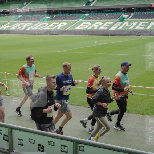 05.10.2025 - 20. swb-Marathon Bremen Michael Burmester http://msf.ph/oto/9231766 05.10.2025 10:30:29 Laufen im Stadion 7202, 7733, 9199, 9209, 9214, 9230, 9240, 9251, 9255, 9259, 9261, 9299, 9317, 9333, 9399, 9435, 9452, 9482, 9501, 9578, 9579, 9658, 9663, 9676, 9787, 9803, 9832, 9888, 9894, 9906, 9966, 9975, 9987, 10022, 10043, 10066, 10159, 10221, 10224, 10227, 10241, 10246, 10251, 10254, 10346, 10376, 10378, 10380, 10392, 10432, 10443, 10507, 10548, 10556, 10581, 10584, 10625, 10673, 10781, 10873, 10923, 10932, 11091, 11177, 11298, 11319, 9014, 9369, 10170 meine-sportfotos.de