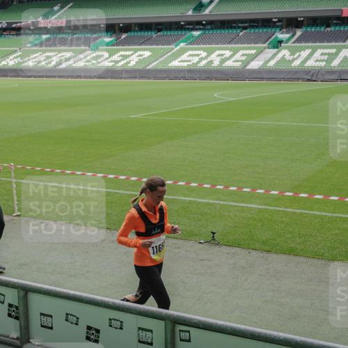 05.10.2025 - 20. swb-Marathon Bremen Michael Burmester http://msf.ph/oto/9231959 05.10.2025 10:30:36 Laufen im Stadion 7202, 7733, 9199, 9209, 9214, 9230, 9240, 9251, 9255, 9259, 9261, 9299, 9317, 9333, 9399, 9435, 9452, 9482, 9501, 9645, 9663, 9676, 9683, 9787, 9832, 9888, 9894, 9906, 9966, 9975, 9987, 10022, 10043, 10066, 10159, 10221, 10224, 10227, 10241, 10246, 10251, 10254, 10346, 10376, 10378, 10380, 10392, 10443, 10507, 10548, 10556, 10581, 10584, 10625, 10673, 10781, 10873, 11091, 11177, 11319, 9014, 9369, 9578, 9579, 9658, 9803, 10170, 10432, 10923, 10932 meine-sportfotos.de
