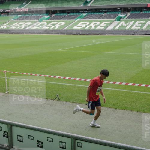05.10.2025 - 20. swb-Marathon Bremen Michael Burmester http://msf.ph/oto/9232168 05.10.2025 10:30:43 Laufen im Stadion 7733, 9209, 9214, 9230, 9240, 9251, 9255, 9259, 9277, 9299, 9317, 9333, 9399, 9416, 9425, 9435, 9482, 9501, 9645, 9663, 9676, 9683, 9708, 9787, 9832, 9888, 9894, 9906, 9966, 9975, 9987, 10022, 10043, 10066, 10159, 10221, 10224, 10227, 10241, 10251, 10254, 10346, 10378, 10380, 10392, 10443, 10449, 10479, 10507, 10548, 10556, 10581, 10584, 10625, 10873, 11177, 11319, 7202, 9014, 9199, 9261, 9369, 9452, 9578, 9579, 9658, 9803, 10170, 10432, 10923, 10932 meine-sportfotos.de