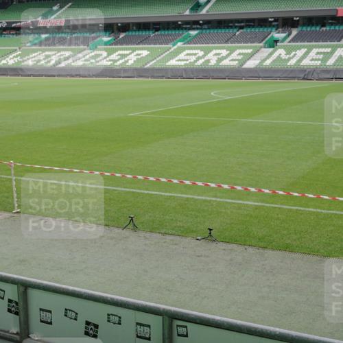 05.10.2025 - 20. swb-Marathon Bremen Michael Burmester http://msf.ph/oto/9232400 05.10.2025 10:30:51 Laufen im Stadion 7733, 9209, 9214, 9230, 9240, 9251, 9259, 9263, 9267, 9277, 9299, 9317, 9333, 9399, 9416, 9425, 9449, 9482, 9501, 9584, 9645, 9663, 9676, 9683, 9708, 9715, 9742, 9787, 9888, 9894, 9906, 9934, 9966, 9987, 10016, 10022, 10043, 10066, 10159, 10221, 10224, 10227, 10241, 10251, 10254, 10317, 10346, 10378, 10380, 10392, 10443, 10449, 10479, 10507, 10514, 10556, 10581, 10584, 10625, 11319, 7202, 9199, 9261, 9452, 9578, 9579, 9658, 9803, 10432, 10923 meine-sportfotos.de