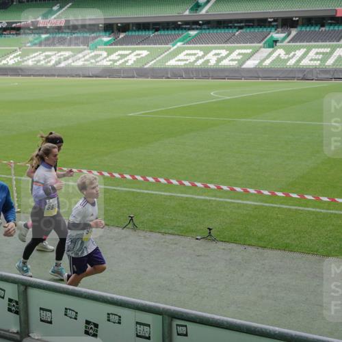 05.10.2025 - 20. swb-Marathon Bremen Michael Burmester http://msf.ph/oto/9236598 05.10.2025 10:32:26 Laufen im Stadion 7165, 7193, 8118, 8326, 8333, 8888, 9176, 9187, 9226, 9238, 9268, 9284, 9313, 9318, 9415, 9427, 9436, 9439, 9456, 9475, 9494, 9514, 9517, 9548, 9621, 9701, 9776, 9807, 9830, 9834, 9868, 9871, 9939, 9956, 9957, 9985, 10007, 10019, 10038, 10046, 10057, 10064, 10075, 10128, 10174, 10215, 10242, 10262, 10296, 10326, 10327, 10369, 10385, 10388, 10416, 10460, 10468, 10487, 10616, 10662, 10785, 9172, 9196, 9506, 9903, 10014, 10020, 10222, 10719 meine-sportfotos.de