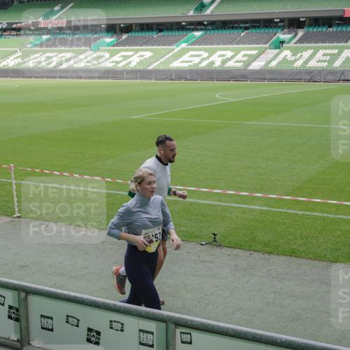 05.10.2025 - 20. swb-Marathon Bremen Michael Burmester http://msf.ph/oto/9237504 05.10.2025 10:33:08 Laufen im Stadion 7077, 7165, 9187, 9195, 9197, 9238, 9258, 9260, 9295, 9318, 9359, 9367, 9392, 9402, 9407, 9456, 9461, 9464, 9475, 9492, 9494, 9514, 9539, 9548, 9570, 9574, 9577, 9650, 9654, 9703, 9717, 9754, 9835, 9856, 9900, 9918, 9933, 9935, 9939, 9950, 10007, 10008, 10032, 10034, 10042, 10046, 10097, 10174, 10232, 10233, 10234, 10253, 10256, 10308, 10309, 10323, 10326, 10349, 10387, 10388, 10394, 10402, 10416, 10436, 10475, 10484, 10487, 10533, 10915, 10992 meine-sportfotos.de