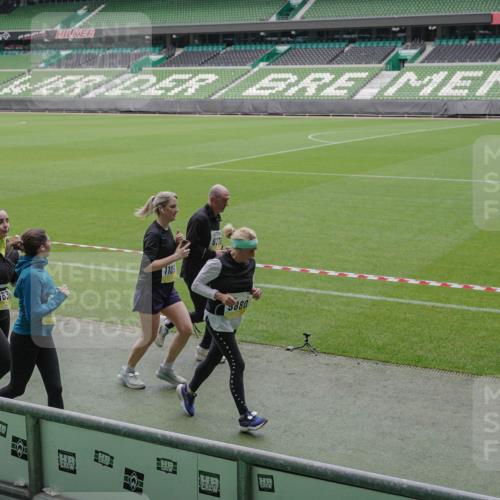05.10.2025 - 20. swb-Marathon Bremen Michael Burmester http://msf.ph/oto/9243482 05.10.2025 10:36:09 Laufen im Stadion 7123, 7177, 7178, 7908, 8585, 9005, 9173, 9174, 9215, 9231, 9278, 9327, 9330, 9346, 9349, 9370, 9371, 9378, 9389, 9433, 9443, 9450, 9451, 9454, 9462, 9508, 9516, 9518, 9542, 9550, 9568, 9608, 9609, 9611, 9613, 9634, 9635, 9686, 9737, 9747, 9790, 9880, 9904, 9914, 9937, 9954, 9962, 9977, 10006, 10039, 10059, 10063, 10079, 10084, 10127, 10138, 10139, 10143, 10182, 10219, 10228, 10250, 10293, 10311, 10324, 10336, 10353, 10357, 10359, 10367, 10391, 10560, 7163 meine-sportfotos.de