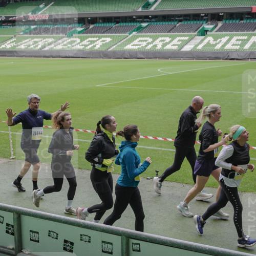 05.10.2025 - 20. swb-Marathon Bremen Michael Burmester http://msf.ph/oto/9243503 05.10.2025 10:36:09 Laufen im Stadion 7123, 7177, 7178, 7908, 8585, 9005, 9173, 9174, 9215, 9231, 9278, 9327, 9330, 9346, 9349, 9370, 9371, 9378, 9389, 9433, 9443, 9450, 9451, 9454, 9462, 9508, 9516, 9518, 9542, 9550, 9568, 9608, 9609, 9611, 9613, 9634, 9635, 9686, 9737, 9747, 9790, 9880, 9904, 9914, 9937, 9954, 9962, 9977, 10006, 10039, 10059, 10063, 10079, 10084, 10127, 10138, 10139, 10143, 10182, 10219, 10228, 10250, 10293, 10311, 10324, 10336, 10353, 10357, 10359, 10367, 10391, 10560, 7163 meine-sportfotos.de