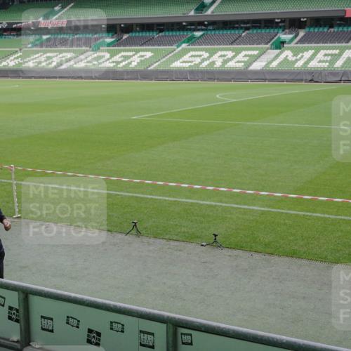 05.10.2025 - 20. swb-Marathon Bremen Michael Burmester http://msf.ph/oto/9245139 05.10.2025 10:37:05 Laufen im Stadion 7123, 7777, 9177, 9208, 9246, 9271, 9272, 9294, 9305, 9363, 9381, 9473, 9531, 9593, 9600, 9603, 9604, 9608, 9613, 9635, 9655, 9673, 9692, 9802, 9812, 9827, 9839, 9841, 9913, 9979, 9991, 10004, 10026, 10030, 10067, 10071, 10093, 10158, 10209, 10217, 10290, 10291, 10345, 10370, 10406, 10489, 10492, 10508, 10518, 10558, 10560, 10562, 10571, 10588, 10615, 10656, 10679, 10762, 10771, 10809, 10821, 10901, 11184, 11223, 11251, 7908, 8585, 9215, 9346 meine-sportfotos.de