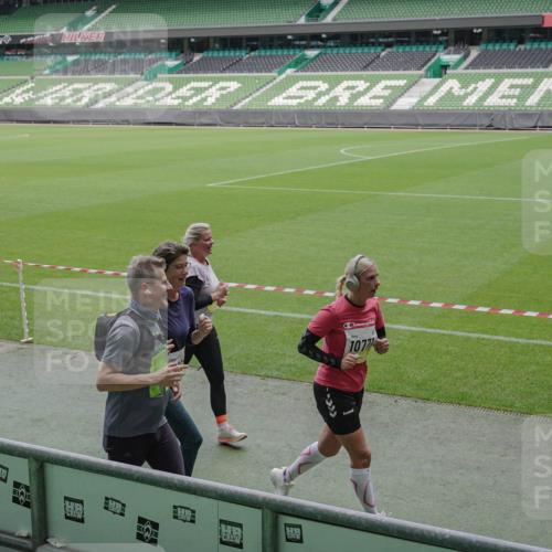 05.10.2025 - 20. swb-Marathon Bremen Michael Burmester http://msf.ph/oto/9245320 05.10.2025 10:37:14 Laufen im Stadion 7776, 7777, 9177, 9208, 9246, 9271, 9272, 9294, 9305, 9360, 9363, 9381, 9473, 9531, 9532, 9593, 9600, 9603, 9604, 9655, 9673, 9692, 9802, 9812, 9827, 9839, 9841, 9913, 9979, 10004, 10026, 10030, 10067, 10071, 10093, 10158, 10209, 10217, 10290, 10291, 10345, 10370, 10477, 10489, 10492, 10508, 10518, 10558, 10562, 10571, 10588, 10615, 10656, 10679, 10762, 10771, 10809, 10821, 10837, 10872, 10995, 11124, 11184, 11223, 11251, 11415, 7908, 8585, 9215, 9346 meine-sportfotos.de