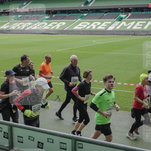 05.10.2025 - 20. swb-Marathon Bremen Michael Burmester http://msf.ph/oto/9245467 05.10.2025 10:37:18 Laufen im Stadion 7776, 7777, 9177, 9208, 9246, 9271, 9272, 9294, 9305, 9360, 9363, 9381, 9473, 9531, 9532, 9600, 9603, 9604, 9655, 9673, 9692, 9802, 9812, 9827, 9839, 9841, 9913, 9979, 10004, 10026, 10030, 10067, 10071, 10093, 10158, 10209, 10217, 10265, 10271, 10290, 10291, 10345, 10370, 10477, 10489, 10492, 10508, 10518, 10562, 10571, 10588, 10615, 10656, 10679, 10762, 10771, 10777, 10809, 10821, 10837, 10872, 10876, 10995, 11124, 11184, 11223, 11251, 11415, 9215 meine-sportfotos.de