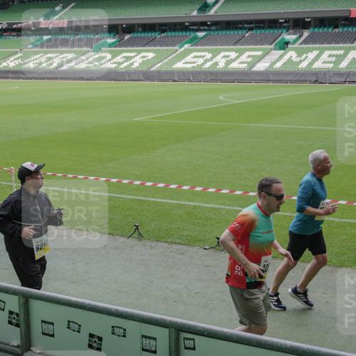 05.10.2025 - 20. swb-Marathon Bremen Michael Burmester http://msf.ph/oto/9245639 05.10.2025 10:37:24 Laufen im Stadion 7776, 7777, 9177, 9208, 9246, 9305, 9360, 9363, 9365, 9381, 9473, 9531, 9532, 9600, 9603, 9604, 9655, 9673, 9692, 9802, 9812, 9839, 9841, 9893, 9913, 9979, 10004, 10026, 10067, 10071, 10158, 10217, 10265, 10271, 10290, 10291, 10345, 10370, 10471, 10477, 10489, 10492, 10508, 10510, 10518, 10562, 10571, 10588, 10615, 10679, 10762, 10771, 10777, 10821, 10837, 10872, 10876, 10995, 11001, 11121, 11124, 11162, 11183, 11184, 11223, 11251, 11415 meine-sportfotos.de