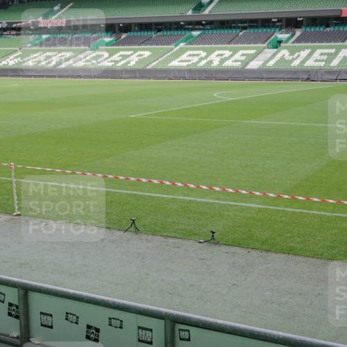 05.10.2025 - 20. swb-Marathon Bremen Michael Burmester http://msf.ph/oto/9245751 05.10.2025 10:37:33 Laufen im Stadion 7776, 9177, 9208, 9246, 9305, 9360, 9363, 9365, 9381, 9426, 9448, 9531, 9532, 9600, 9603, 9673, 9692, 9802, 9839, 9841, 9893, 9913, 9979, 10067, 10158, 10194, 10265, 10271, 10274, 10290, 10291, 10301, 10345, 10370, 10471, 10477, 10489, 10508, 10510, 10518, 10562, 10571, 10615, 10762, 10771, 10777, 10821, 10826, 10837, 10872, 10876, 10995, 11001, 11050, 11121, 11124, 11150, 11162, 11183, 11184, 11223, 11251, 11415 meine-sportfotos.de