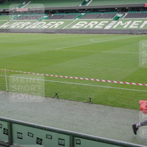 05.10.2025 - 20. swb-Marathon Bremen Michael Burmester http://msf.ph/oto/9246506 05.10.2025 10:38:03 Laufen im Stadion 7621, 7776, 8574, 9189, 9210, 9237, 9360, 9365, 9426, 9432, 9448, 9468, 9486, 9498, 9532, 9536, 9642, 9647, 9684, 9707, 9748, 9813, 9846, 9858, 9893, 10033, 10056, 10098, 10130, 10167, 10194, 10265, 10271, 10274, 10278, 10301, 10437, 10471, 10477, 10485, 10508, 10510, 10530, 10595, 10598, 10611, 10678, 10711, 10713, 10777, 10803, 10804, 10825, 10826, 10829, 10837, 10872, 10876, 10995, 11001, 11050, 11121, 11124, 11150, 11162, 11183, 11415, 9381, 9531 meine-sportfotos.de