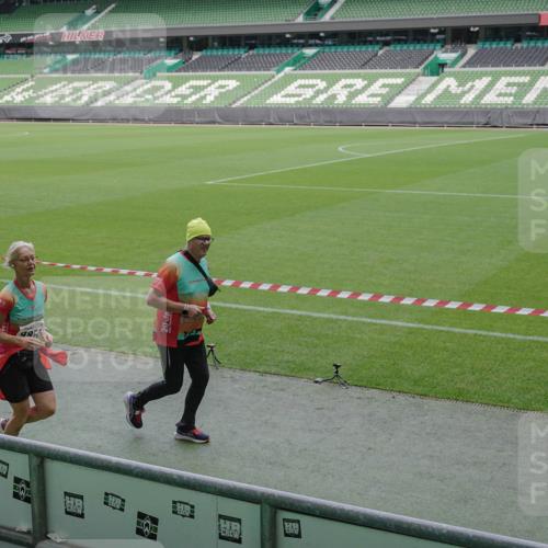 05.10.2025 - 20. swb-Marathon Bremen Michael Burmester http://msf.ph/oto/9248477 05.10.2025 10:39:12 Laufen im Stadion 7199, 7654, 7788, 7979, 8123, 9002, 9182, 9184, 9224, 9225, 9228, 9229, 9235, 9269, 9300, 9315, 9322, 9324, 9325, 9331, 9335, 9379, 9394, 9398, 9409, 9515, 9523, 9610, 9628, 9644, 9660, 9668, 9713, 9752, 9765, 9782, 9850, 9890, 9908, 9927, 9944, 9978, 9998, 10018, 10021, 10106, 10142, 10207, 10213, 10238, 10255, 10258, 10289, 10297, 10371, 10374, 10404, 10405, 10426, 10439, 10446, 10483, 10498, 10511, 10529, 10531, 10551, 10557, 10567, 10623, 10734, 10749, 10853 meine-sportfotos.de