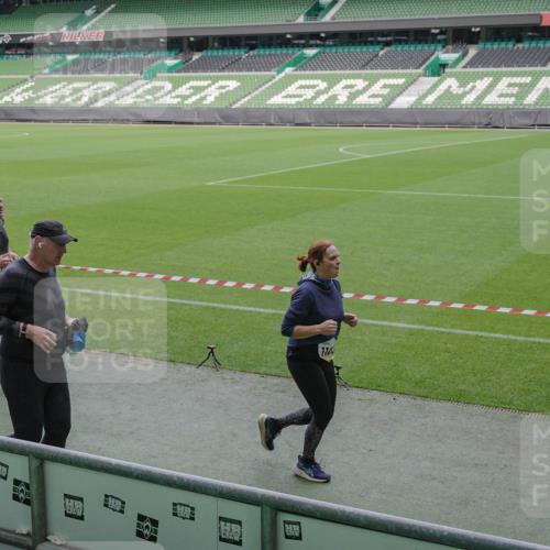 05.10.2025 - 20. swb-Marathon Bremen Michael Burmester http://msf.ph/oto/9248632 05.10.2025 10:39:18 Laufen im Stadion 7199, 7654, 7788, 7789, 7979, 8123, 9002, 9180, 9182, 9186, 9224, 9225, 9228, 9229, 9269, 9300, 9315, 9324, 9325, 9331, 9379, 9394, 9398, 9515, 9523, 9610, 9628, 9644, 9660, 9668, 9713, 9752, 9765, 9780, 9782, 9850, 9890, 9908, 9927, 9944, 9998, 10018, 10021, 10106, 10142, 10207, 10213, 10238, 10255, 10258, 10289, 10297, 10371, 10374, 10405, 10426, 10446, 10462, 10483, 10498, 10511, 10529, 10531, 10551, 10557, 10567, 10623, 10734, 10749, 10853, 9184 meine-sportfotos.de