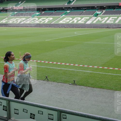 05.10.2025 - 20. swb-Marathon Bremen Michael Burmester http://msf.ph/oto/9248903 05.10.2025 10:39:29 Laufen im Stadion 7199, 7654, 7779, 7788, 7789, 7979, 8123, 9002, 9180, 9186, 9224, 9225, 9228, 9229, 9315, 9324, 9325, 9379, 9398, 9419, 9515, 9523, 9610, 9628, 9644, 9661, 9668, 9713, 9765, 9780, 9850, 9908, 9927, 9944, 9998, 10018, 10021, 10025, 10106, 10142, 10192, 10207, 10213, 10238, 10255, 10258, 10289, 10371, 10374, 10405, 10426, 10462, 10483, 10498, 10529, 10531, 10551, 10557, 10567, 10587, 10597, 10734, 10749, 10853, 9182, 9184, 9269, 9300, 9394 meine-sportfotos.de