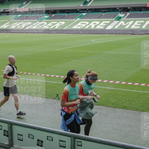 05.10.2025 - 20. swb-Marathon Bremen Michael Burmester http://msf.ph/oto/9248928 05.10.2025 10:39:29 Laufen im Stadion 7199, 7654, 7779, 7788, 7789, 7979, 8123, 9002, 9180, 9186, 9224, 9225, 9228, 9229, 9315, 9324, 9325, 9379, 9398, 9419, 9515, 9523, 9610, 9628, 9644, 9661, 9668, 9713, 9765, 9780, 9850, 9908, 9927, 9944, 9998, 10018, 10021, 10025, 10106, 10142, 10192, 10207, 10213, 10238, 10255, 10258, 10289, 10371, 10374, 10405, 10426, 10462, 10483, 10498, 10529, 10531, 10551, 10557, 10567, 10587, 10597, 10734, 10749, 10853, 9182, 9184, 9269, 9300, 9394 meine-sportfotos.de