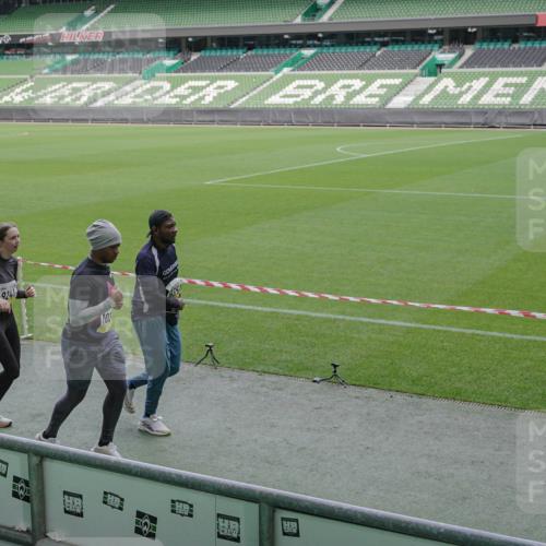 05.10.2025 - 20. swb-Marathon Bremen Michael Burmester http://msf.ph/oto/9250275 05.10.2025 10:40:16 Laufen im Stadion 7779, 7789, 7799, 8111, 9186, 9220, 9241, 9245, 9275, 9286, 9308, 9321, 9387, 9419, 9423, 9440, 9466, 9491, 9552, 9554, 9571, 9615, 9619, 9623, 9661, 9662, 9690, 9721, 9780, 9786, 9866, 9901, 9931, 9976, 10001, 10025, 10135, 10157, 10160, 10168, 10185, 10192, 10193, 10243, 10286, 10343, 10383, 10419, 10422, 10451, 10462, 10532, 10542, 10563, 10580, 10587, 10597, 10603, 10604, 10619, 10674, 10699, 10737, 11090, 11270, 7654, 7979, 9002, 9180, 9224 meine-sportfotos.de