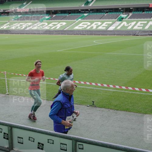 05.10.2025 - 20. swb-Marathon Bremen Michael Burmester http://msf.ph/oto/9250505 05.10.2025 10:40:25 Laufen im Stadion 7779, 7799, 8111, 9205, 9220, 9241, 9245, 9275, 9286, 9308, 9321, 9387, 9423, 9440, 9466, 9491, 9552, 9554, 9571, 9615, 9619, 9623, 9661, 9662, 9690, 9712, 9721, 9786, 9804, 9866, 9901, 9931, 9942, 9976, 10001, 10058, 10081, 10135, 10157, 10160, 10168, 10185, 10192, 10193, 10243, 10286, 10343, 10383, 10419, 10422, 10451, 10532, 10542, 10563, 10580, 10603, 10604, 10619, 10674, 10699, 10737, 11090, 11270, 7779, 7789, 7979, 9002, 9180, 9186, 9419, 11044 meine-sportfotos.de