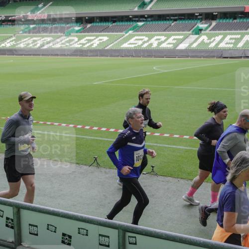 05.10.2025 - 20. swb-Marathon Bremen Michael Burmester http://msf.ph/oto/9251104 05.10.2025 10:40:46 Laufen im Stadion 7706, 7799, 8111, 9001, 9178, 9191, 9205, 9245, 9275, 9306, 9308, 9321, 9334, 9353, 9355, 9387, 9423, 9438, 9440, 9446, 9466, 9483, 9491, 9530, 9537, 9552, 9605, 9615, 9617, 9623, 9685, 9690, 9702, 9712, 9721, 9764, 9804, 9853, 9866, 9877, 9892, 9942, 10001, 10037, 10058, 10081, 10100, 10101, 10135, 10160, 10168, 10193, 10243, 10343, 10419, 10542, 10550, 10563, 10580, 10674, 10699, 10737, 11090, 11270, 9220, 9241, 9286, 9554, 9571, 9619, 9661, 9662, 9931 meine-sportfotos.de