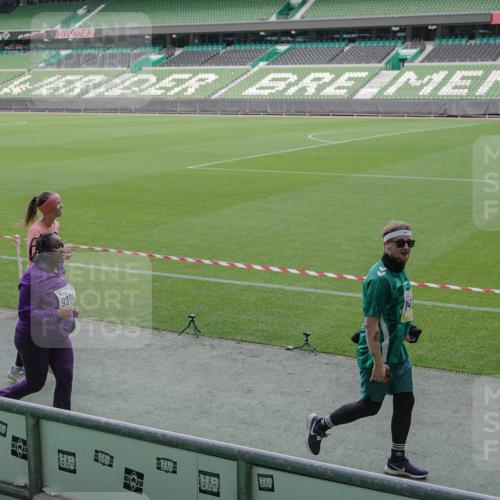 05.10.2025 - 20. swb-Marathon Bremen Michael Burmester http://msf.ph/oto/9251640 05.10.2025 10:41:04 Laufen im Stadion 7706, 8111, 9001, 9178, 9191, 9205, 9217, 9245, 9274, 9306, 9321, 9334, 9353, 9355, 9357, 9401, 9438, 9440, 9446, 9466, 9483, 9530, 9537, 9589, 9599, 9605, 9617, 9685, 9690, 9702, 9712, 9757, 9764, 9774, 9804, 9853, 9874, 9877, 9887, 9892, 9942, 10001, 10037, 10058, 10081, 10100, 10101, 10135, 10168, 10193, 10197, 10235, 10236, 10243, 10249, 10295, 10330, 10332, 10343, 10419, 10458, 10550, 10563, 10580, 10582, 10585, 10614, 10632, 7799, 9241, 9619 meine-sportfotos.de