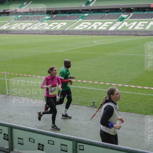 05.10.2025 - 20. swb-Marathon Bremen Michael Burmester http://msf.ph/oto/9251760 05.10.2025 10:41:08 Laufen im Stadion 7706, 8111, 9001, 9178, 9191, 9205, 9217, 9245, 9265, 9274, 9306, 9321, 9334, 9353, 9355, 9357, 9401, 9438, 9440, 9446, 9466, 9483, 9530, 9537, 9538, 9589, 9599, 9605, 9617, 9685, 9690, 9702, 9712, 9757, 9764, 9774, 9804, 9853, 9874, 9877, 9887, 9892, 9942, 10001, 10037, 10051, 10058, 10081, 10095, 10100, 10101, 10135, 10152, 10168, 10197, 10212, 10235, 10236, 10243, 10249, 10295, 10330, 10332, 10343, 10419, 10458, 10550, 10563, 10580, 10582, 10585, 10614, 10632, 7799 meine-sportfotos.de