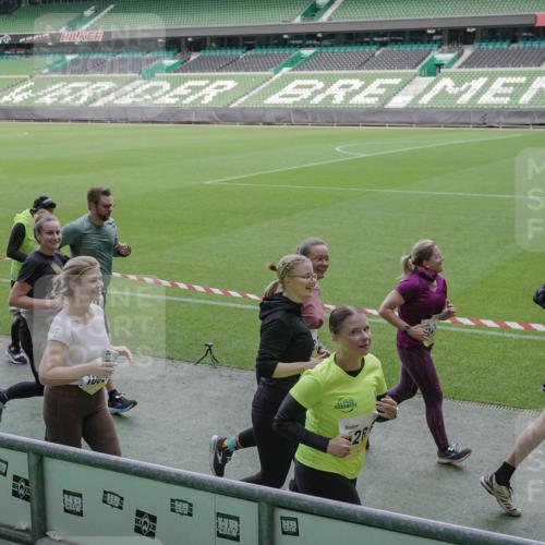 05.10.2025 - 20. swb-Marathon Bremen Michael Burmester http://msf.ph/oto/9252703 05.10.2025 10:41:39 Laufen im Stadion 7069, 8533, 9178, 9191, 9217, 9265, 9274, 9306, 9355, 9357, 9401, 9530, 9538, 9589, 9599, 9605, 9617, 9632, 9649, 9685, 9757, 9764, 9774, 9836, 9837, 9874, 9887, 9907, 9982, 10051, 10095, 10125, 10129, 10132, 10134, 10148, 10152, 10189, 10197, 10212, 10214, 10223, 10235, 10236, 10249, 10295, 10330, 10332, 10333, 10458, 10522, 10550, 10582, 10585, 10614, 10632, 10706, 10722, 10815, 10937, 10998, 11037, 11056, 11097, 11232, 11379, 11405, 11437, 11473, 7706, 9001 meine-sportfotos.de