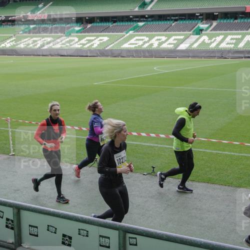 05.10.2025 - 20. swb-Marathon Bremen Michael Burmester http://msf.ph/oto/9252777 05.10.2025 10:41:40 Laufen im Stadion 7069, 8533, 9178, 9191, 9217, 9265, 9274, 9306, 9355, 9357, 9401, 9530, 9538, 9589, 9599, 9632, 9649, 9685, 9757, 9764, 9774, 9836, 9837, 9874, 9887, 9907, 9982, 10051, 10095, 10125, 10129, 10132, 10134, 10148, 10152, 10189, 10197, 10212, 10214, 10223, 10235, 10236, 10249, 10295, 10330, 10332, 10333, 10458, 10499, 10522, 10550, 10582, 10585, 10614, 10632, 10706, 10722, 10815, 10937, 10998, 11037, 11056, 11097, 11232, 11379, 11405, 11437, 11473, 7706, 9001 meine-sportfotos.de