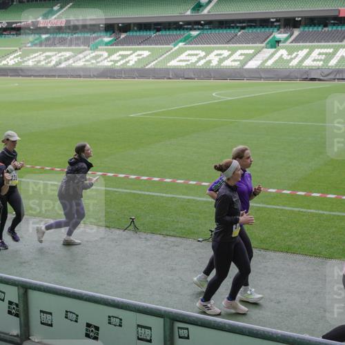 05.10.2025 - 20. swb-Marathon Bremen Michael Burmester http://msf.ph/oto/9253782 05.10.2025 10:42:24 Laufen im Stadion 7069, 8225, 8865, 9212, 9276, 9410, 9481, 9519, 9557, 9632, 9648, 9649, 9680, 9798, 9815, 9836, 9837, 9945, 9972, 9999, 10031, 10074, 10082, 10087, 10129, 10134, 10189, 10214, 10239, 10245, 10248, 10264, 10333, 10365, 10366, 10396, 10412, 10415, 10417, 10463, 10499, 10522, 10684, 10706, 10722, 10815, 10824, 10860, 10937, 10943, 10998, 11037, 11056, 11097, 11112, 11126, 11142, 11172, 11206, 11395, 11405, 11473, 11584, 11634, 8533, 9982, 10125, 10148, 10214 meine-sportfotos.de