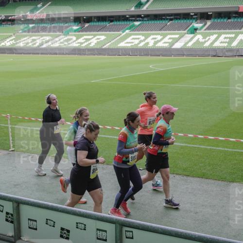 05.10.2025 - 20. swb-Marathon Bremen Michael Burmester http://msf.ph/oto/9254206 05.10.2025 10:42:40 Laufen im Stadion 8225, 8865, 9185, 9212, 9276, 9288, 9410, 9476, 9481, 9519, 9557, 9648, 9664, 9680, 9726, 9734, 9736, 9760, 9798, 9806, 9815, 9826, 9945, 9972, 9999, 10031, 10074, 10082, 10087, 10239, 10245, 10248, 10264, 10365, 10366, 10396, 10412, 10415, 10417, 10463, 10499, 10684, 10824, 10860, 10861, 10943, 11030, 11073, 11112, 11126, 11142, 11170, 11172, 11206, 11395, 11584, 11634, 8533, 9632, 9836, 9837, 9982, 10125, 10148, 10214, 10333, 10706, 10937, 10998 meine-sportfotos.de