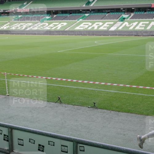 05.10.2025 - 20. swb-Marathon Bremen Michael Burmester http://msf.ph/oto/9254636 05.10.2025 10:42:56 Laufen im Stadion 8225, 9185, 9212, 9276, 9288, 9410, 9476, 9481, 9493, 9526, 9557, 9648, 9664, 9675, 9680, 9726, 9731, 9732, 9734, 9736, 9760, 9784, 9806, 9822, 9823, 9826, 9848, 9861, 9912, 9945, 9972, 9999, 10074, 10146, 10245, 10264, 10316, 10365, 10366, 10396, 10412, 10415, 10417, 10433, 10463, 10596, 10684, 10849, 10860, 10861, 10962, 10969, 11030, 11073, 11083, 11112, 11126, 11142, 11157, 11161, 11170, 11172, 11215, 11240, 11242, 11404, 11536, 9519 meine-sportfotos.de