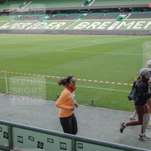 05.10.2025 - 20. swb-Marathon Bremen Michael Burmester http://msf.ph/oto/9255221 05.10.2025 10:43:17 Laufen im Stadion 9185, 9288, 9380, 9410, 9476, 9493, 9526, 9557, 9561, 9664, 9675, 9680, 9726, 9731, 9732, 9734, 9736, 9760, 9784, 9806, 9822, 9823, 9826, 9848, 9861, 9867, 9912, 10074, 10146, 10183, 10245, 10315, 10316, 10396, 10399, 10412, 10417, 10433, 10435, 10463, 10491, 10512, 10515, 10552, 10596, 10849, 10860, 10861, 10962, 10969, 11030, 11073, 11083, 11112, 11113, 11157, 11161, 11170, 11215, 11240, 11242, 11285, 11331, 11404, 11536, 8225, 9212, 9276, 9481, 9648, 9945, 9972 meine-sportfotos.de
