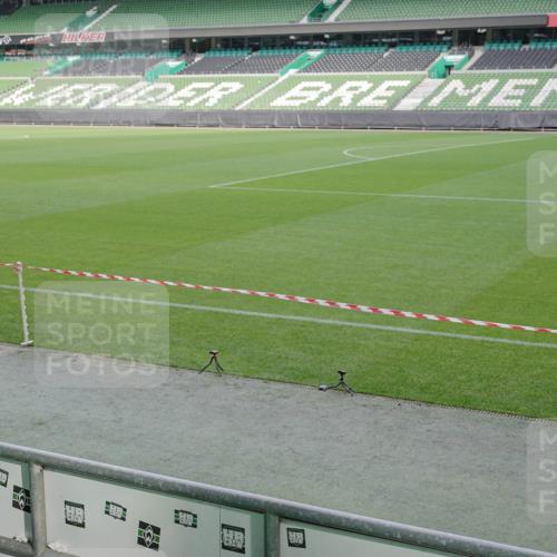 05.10.2025 - 20. swb-Marathon Bremen Michael Burmester http://msf.ph/oto/9257338 05.10.2025 10:45:00 Laufen im Stadion 7007, 7109, 7110, 8476, 9012, 9242, 9264, 9303, 9342, 9441, 9479, 9567, 9572, 9631, 9667, 9756, 9767, 9768, 9899, 9948, 9970, 10000, 10114, 10115, 10190, 10273, 10282, 10292, 10339, 10340, 10379, 10622, 10647, 10665, 10671, 10752, 10808, 10842, 10846, 10957, 10984, 11060, 11072, 11085, 11117, 11118, 11139, 11252, 11264, 11293, 11367, 11375, 11378, 11385, 11407, 11448, 11544, 11557, 11568, 11635, 8844, 9373, 9374, 9453, 10355, 10364, 11252, 11318, 11560 meine-sportfotos.de