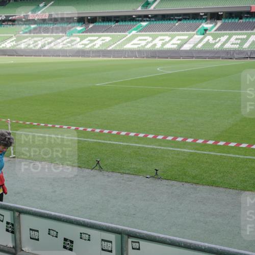 05.10.2025 - 20. swb-Marathon Bremen Michael Burmester http://msf.ph/oto/9259688 05.10.2025 10:48:36 Laufen im Stadion 9408, 9679, 9698, 9705, 10012, 10076, 10361, 10362, 10613, 10795, 10874, 10913, 11109, 11480, 11631, 11690, 11743, 9323, 9348, 9477, 9563, 9679, 9805, 10198 meine-sportfotos.de