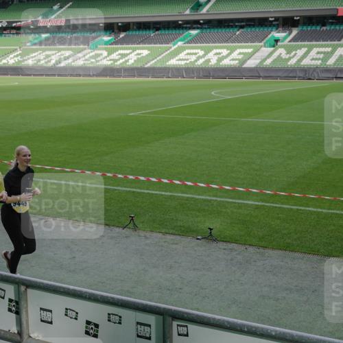05.10.2025 - 20. swb-Marathon Bremen Michael Burmester http://msf.ph/oto/9260177 05.10.2025 10:50:04 Laufen im Stadion 9445, 9733, 9808, 9857, 10035, 10072, 10096, 10133, 10184, 10373, 10700, 10724, 10731, 11190, 9247, 9405, 9513, 9688, 10488, 10720, 11625, 11643 meine-sportfotos.de