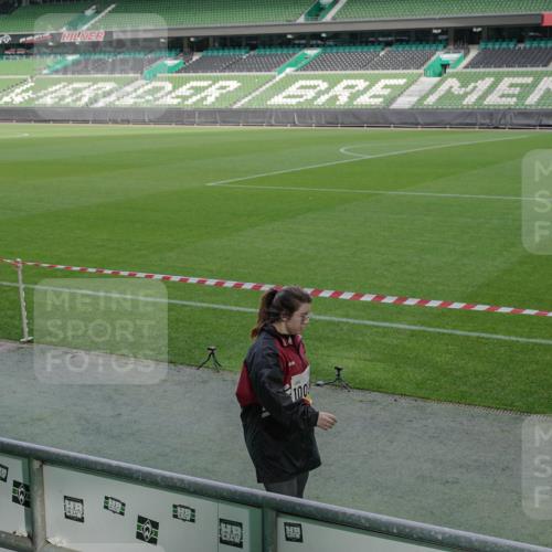 05.10.2025 - 20. swb-Marathon Bremen Michael Burmester http://msf.ph/oto/9260422 05.10.2025 10:50:34 Laufen im Stadion 9733, 9808, 10035, 10096, 10373, 10724, 9445, 9857, 10072, 10133, 10184, 10373, 10731, 11190 meine-sportfotos.de