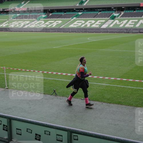 05.10.2025 - 20. swb-Marathon Bremen Michael Burmester http://msf.ph/oto/9260707 05.10.2025 10:52:39 Laufen im Stadion 9352, 9559, 10027, 10144, 10300, 10774, 10935, 11572, 9763, 10300, 11313, 11314, 11572, 11697, 11698 meine-sportfotos.de