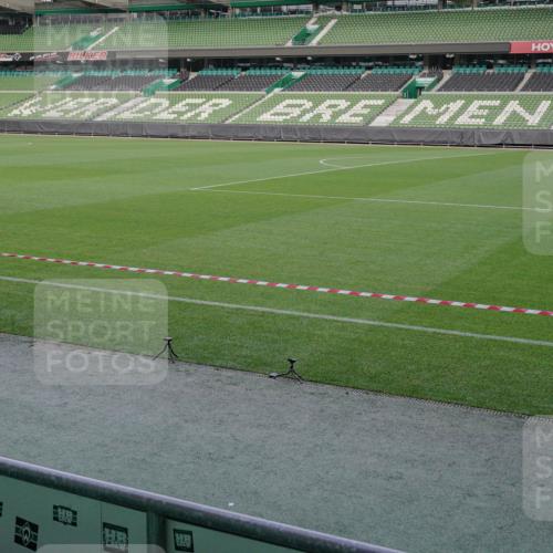 05.10.2025 - 20. swb-Marathon Bremen Michael Burmester http://msf.ph/oto/9261106 05.10.2025 10:57:38 Laufen im Stadion  meine-sportfotos.de