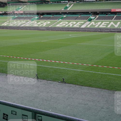 05.10.2025 - 20. swb-Marathon Bremen Michael Burmester http://msf.ph/oto/9261218 05.10.2025 10:59:39 Laufen im Stadion 9376, 10528, 11302 meine-sportfotos.de