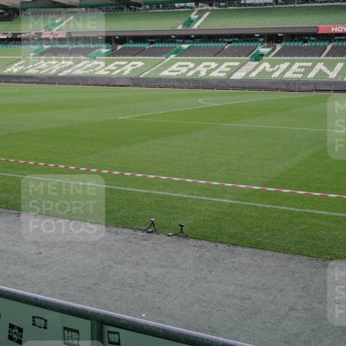 05.10.2025 - 20. swb-Marathon Bremen Michael Burmester http://msf.ph/oto/9261561 05.10.2025 11:00:51 Laufen im Stadion  meine-sportfotos.de