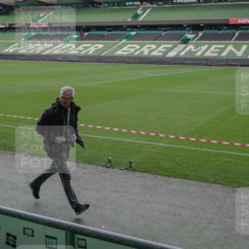 05.10.2025 - 20. swb-Marathon Bremen Michael Burmester http://msf.ph/oto/9261779 05.10.2025 11:02:50 Laufen im Stadion  meine-sportfotos.de