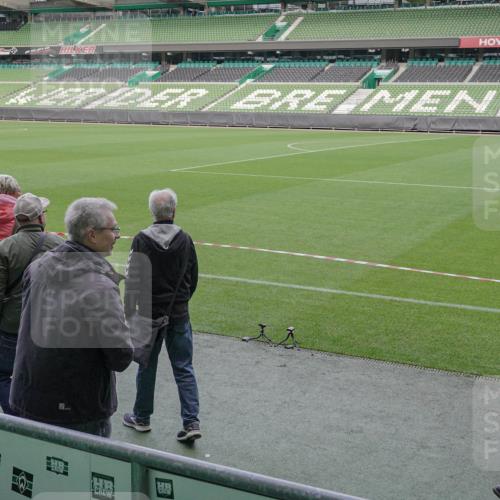 05.10.2025 - 20. swb-Marathon Bremen Michael Burmester http://msf.ph/oto/9261949 05.10.2025 11:04:33 Laufen im Stadion  meine-sportfotos.de