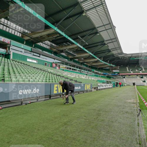 05.10.2025 - 20. swb-Marathon Bremen Michael Burmester http://msf.ph/oto/9275625 05.10.2025 10:09:08 Laufen im Stadion  meine-sportfotos.de