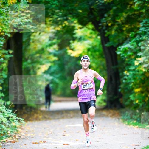 12.10.2025 - Bramfelder Halbmarathon 2025 Dr. Thomas Lammeyer http://msf.ph/oto/9340243 12.10.2025 09:44:41 Laufen 2640 meine-sportfotos.de