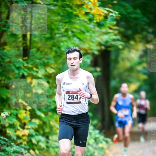 12.10.2025 - Bramfelder Halbmarathon 2025 Dr. Thomas Lammeyer http://msf.ph/oto/9340277 12.10.2025 09:45:18 Laufen 2847 meine-sportfotos.de