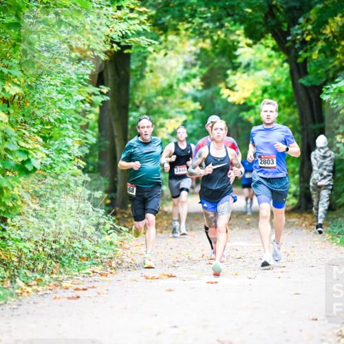 12.10.2025 - Bramfelder Halbmarathon 2025 Dr. Thomas Lammeyer http://msf.ph/oto/9340667 12.10.2025 09:48:54 Laufen 88, 2448, 2803 meine-sportfotos.de