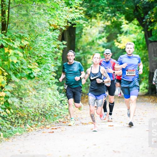 12.10.2025 - Bramfelder Halbmarathon 2025 Dr. Thomas Lammeyer http://msf.ph/oto/9340675 12.10.2025 09:48:56 Laufen 2803 meine-sportfotos.de